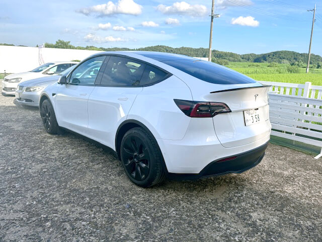TESLA Model Y